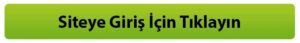 meritslot giriş linki